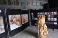 /album/fotogalerie-tip-pro-firmy-a-podnikatele-studio-stage-jitex-future-show-game4planet-C-/game-factory-jitex-07-jpg/